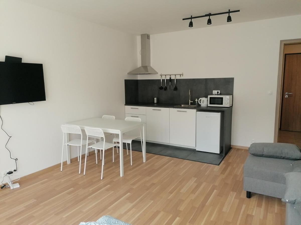 Brand New Studio Apartment #21 With Free Secure Parking In The Center Praha Eksteriør bilde